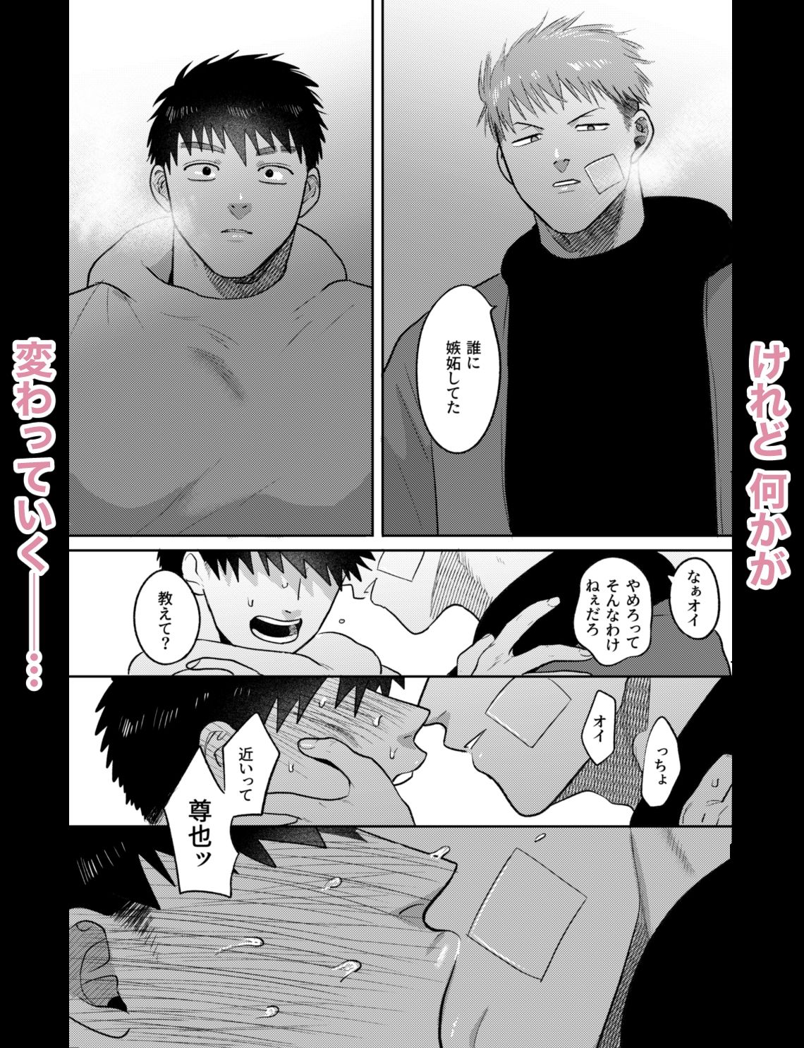 妹の代わりはもうやめる_006