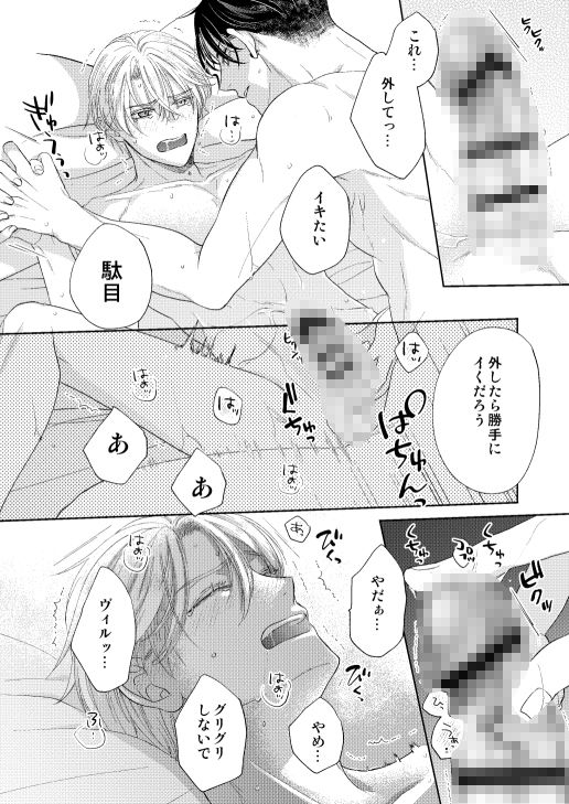辺境伯騎士の執着婚_009